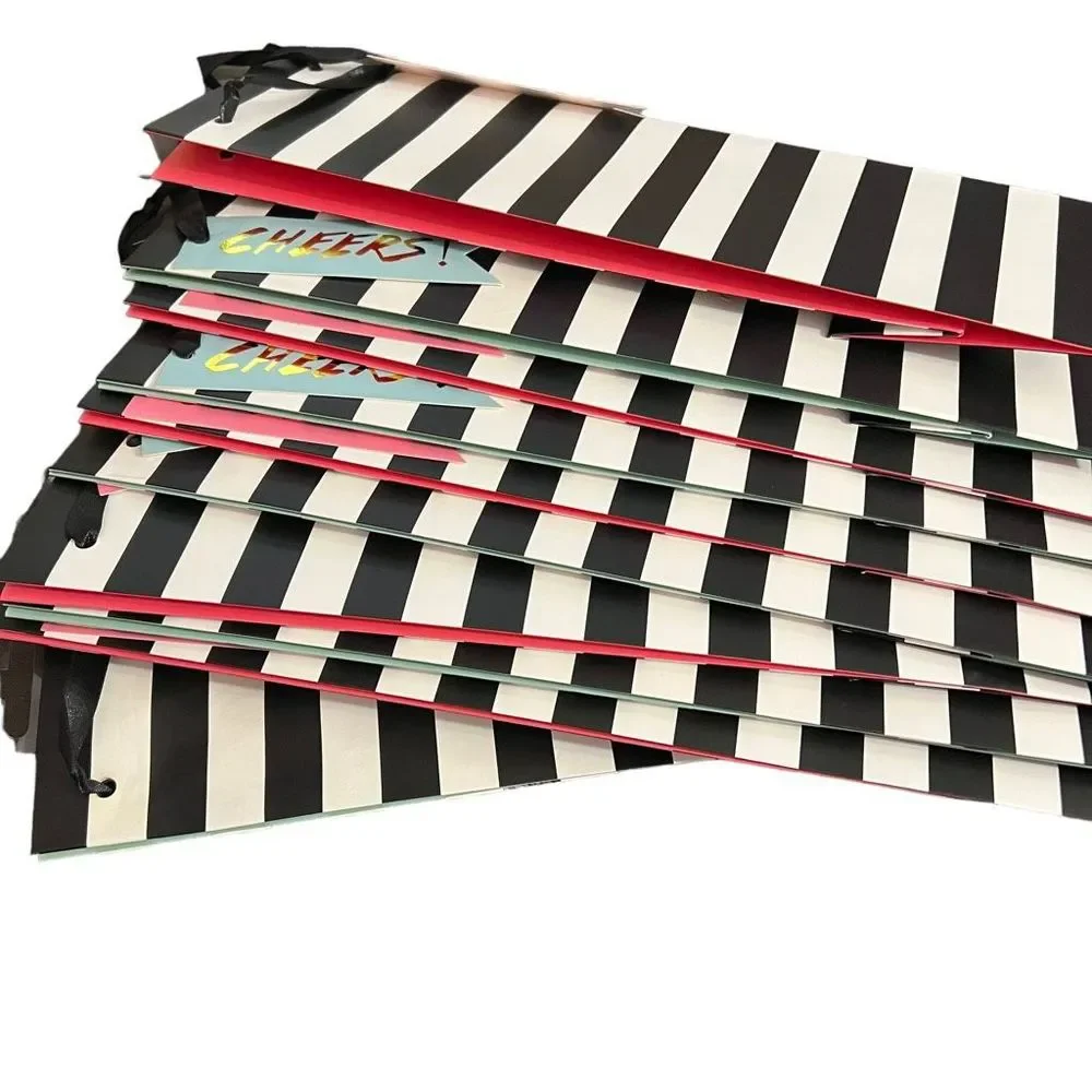 Pack Of Heavy Paper Cheers Wine Gift Bag Set Of 10 Pink Mint Green Black White S